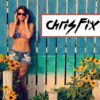 chris-fix-used-car-checklist-download-and-tips-for-buying-a-used-car-inspection-easy-DIY